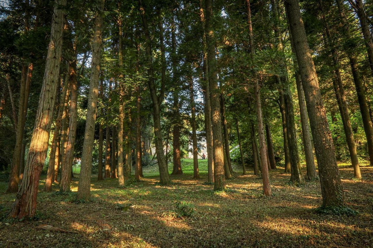 Le Clos D'Abrigeon Обена Екстер'єр фото